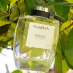HOME PERFUME - KLAROMA - PEONIA TURIN 250ML - Imagem 3